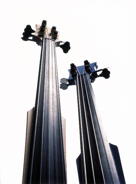 Fichter Basses