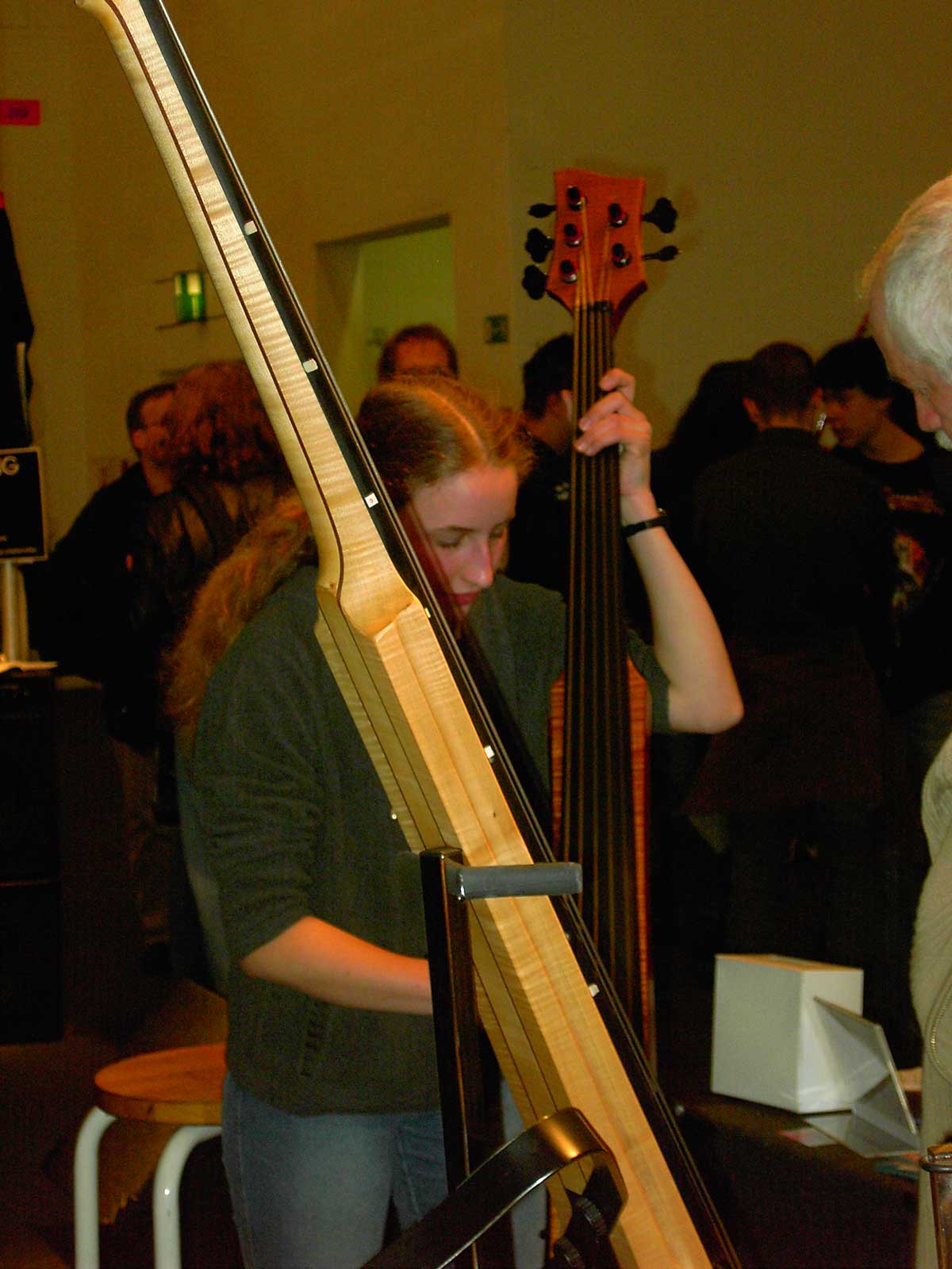 Fichter Basses